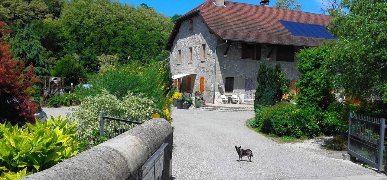 مبيت وإفطار Hauteville-sur-Fier Escapade Champetre المظهر الخارجي الصورة